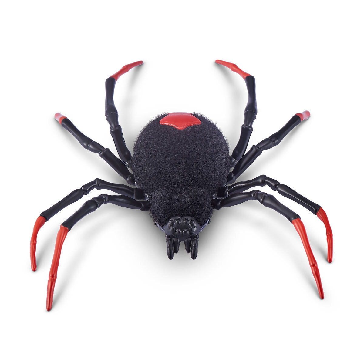 Robo Alive Glow in the Dark Crawling Spider by ZURU - Black