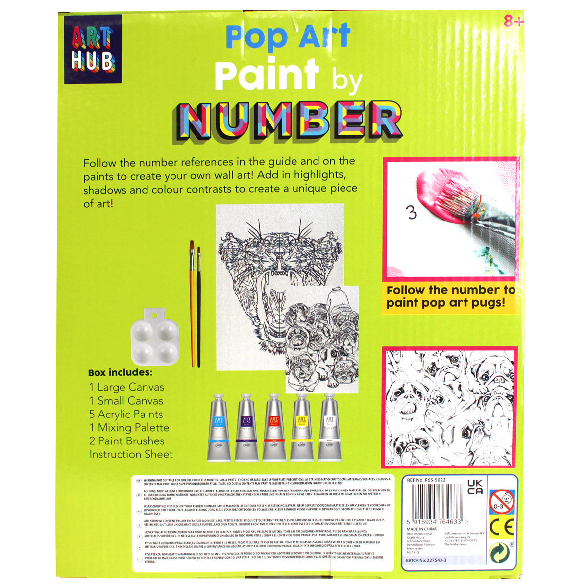 Pop Art Canvas Kit