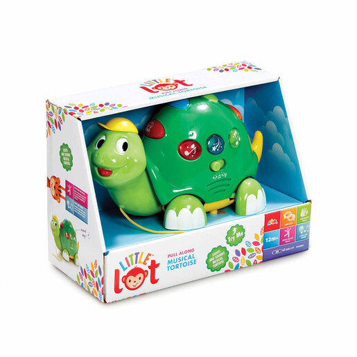 Little Lot Pull Along Musical Tortoise