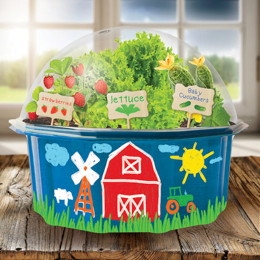 Grow and Decorate Your Own Farmers Garden