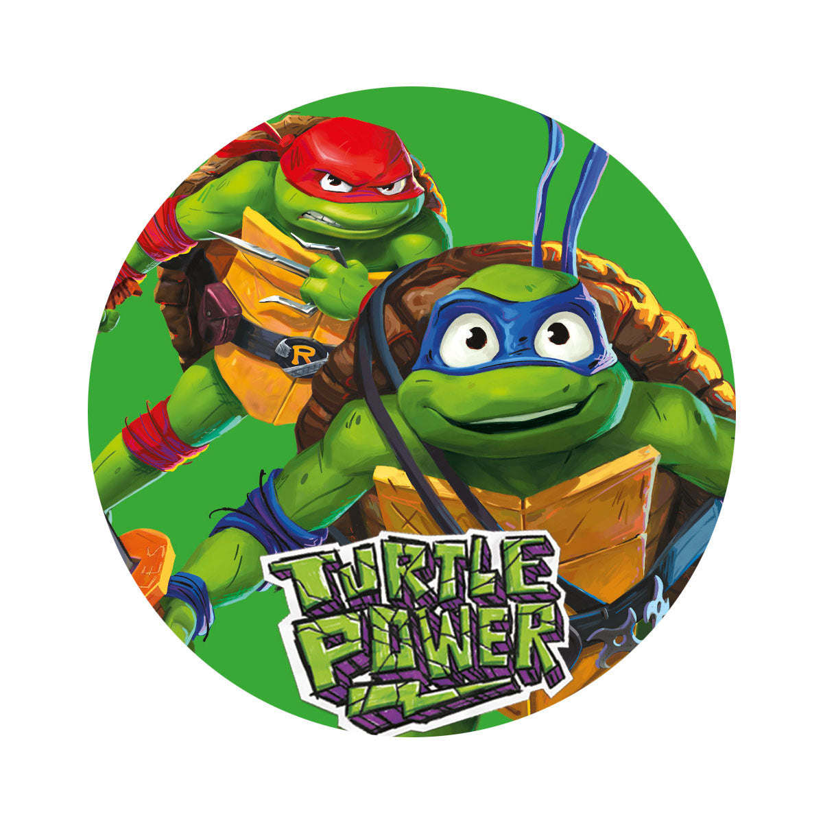 Teenage Mutant Ninja Turtles Wrapping Paper - 2 Sheets and 2 Tags