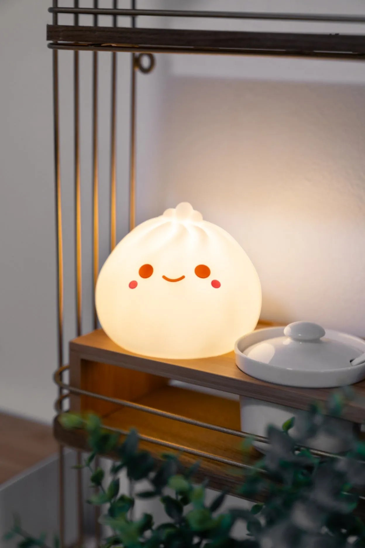 Dumpling Ambient Light
