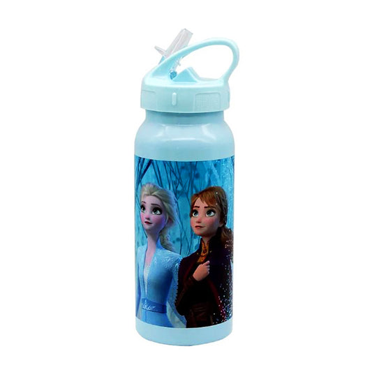 Disney Frozen II - Born This Way Stainless Steel Water Bottle