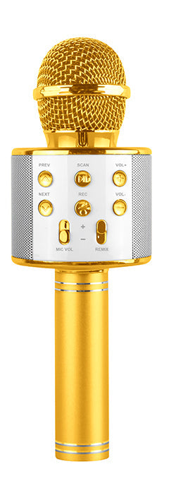 Power Joy - Battery Operated Karaoke Microphone (Color Vary - One Supplied)
