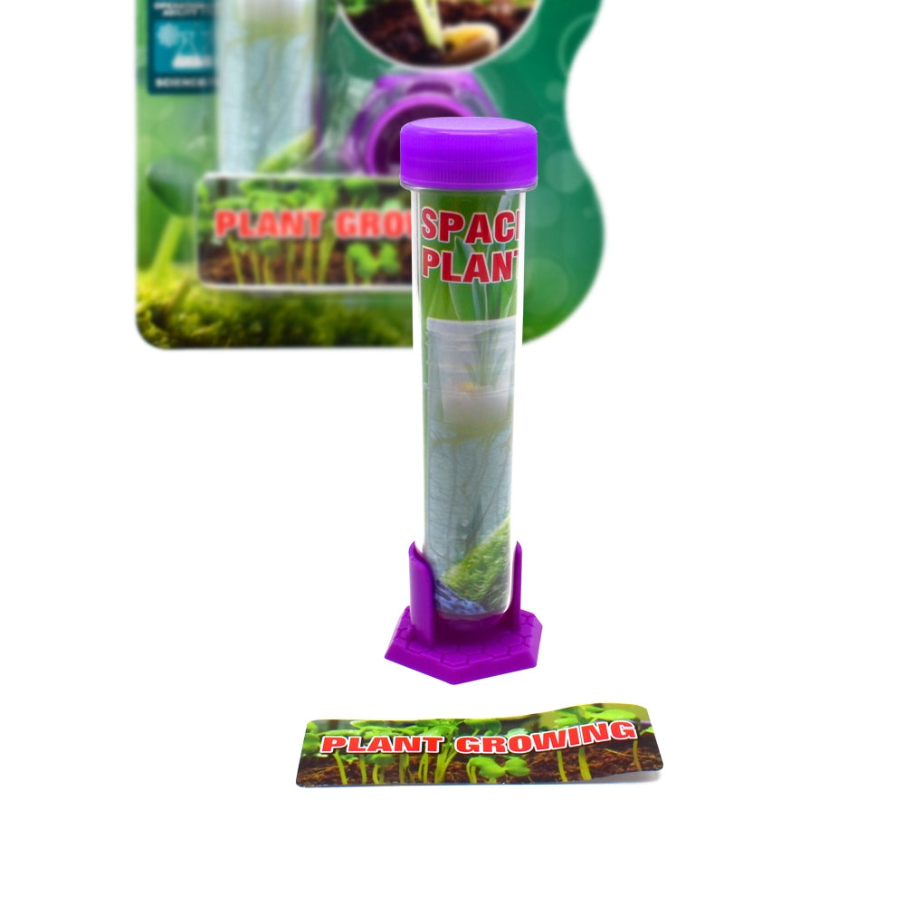 Educational Kid Toy of Test Tube Plant Growing