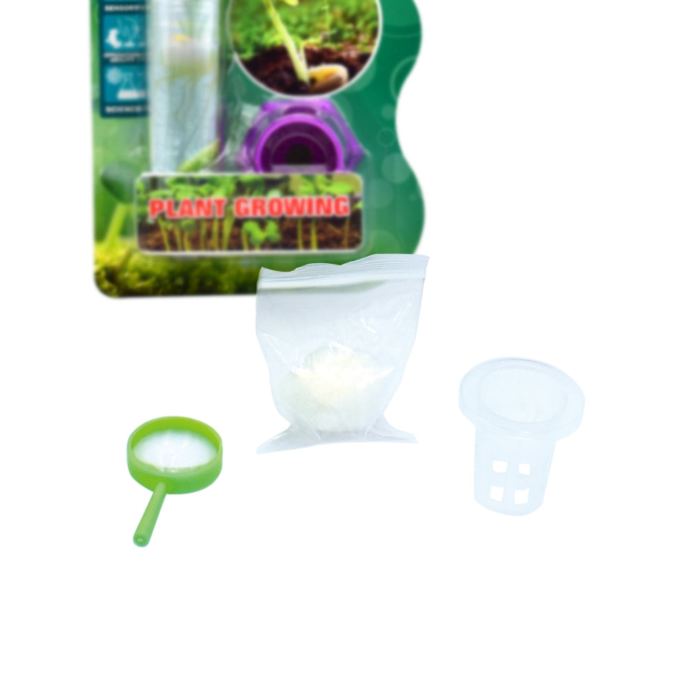 Educational Kid Toy of Test Tube Plant Growing