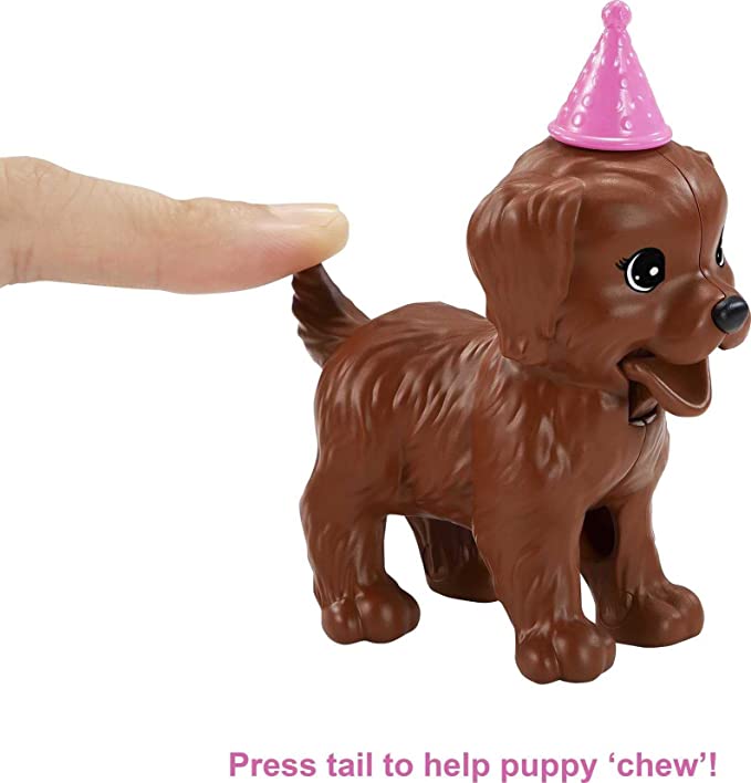 Barbie - Doll and Puppy Party Playset GXV75