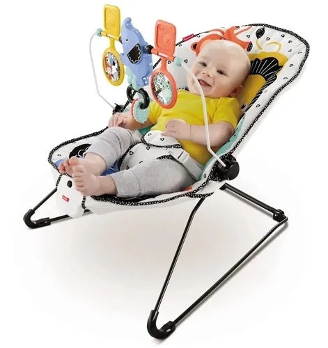 Fisher Price - Soothing and Fun Baby Bouncer