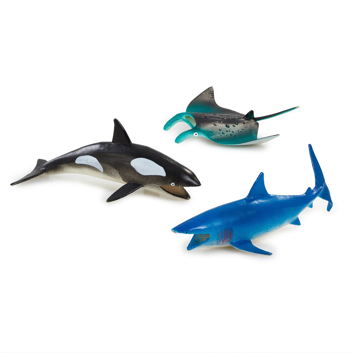 Awesome Animals Discover Ocean Life Tub