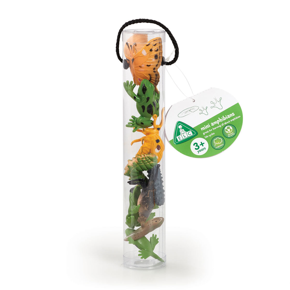 Early Learning Centre Mini Amphibians