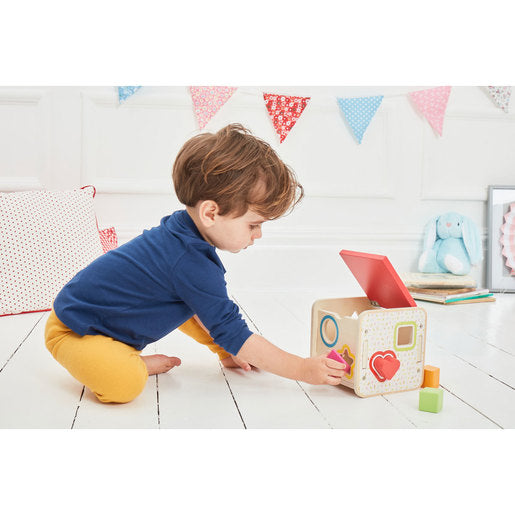 Early Learning Centre Wooden Shape Sorter