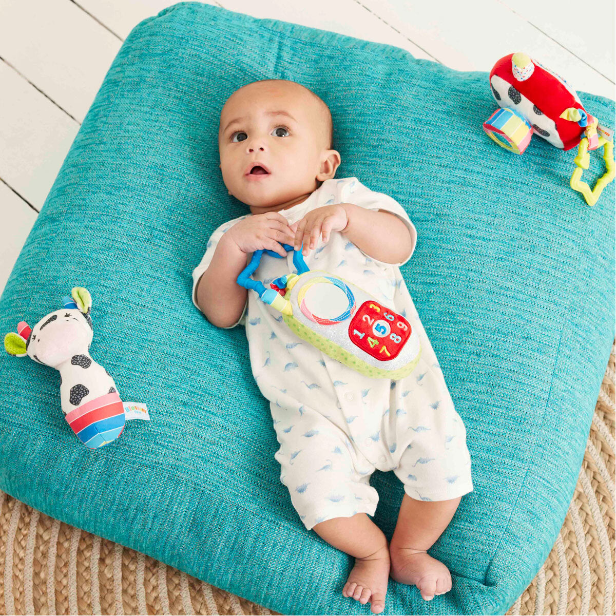 Blossom Farm Baby Toy Phone