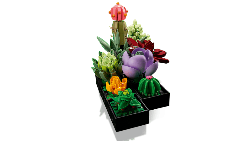 LEGO Botanical | 10309 Succulents