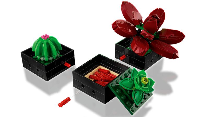 LEGO Botanical | 10309 Succulents