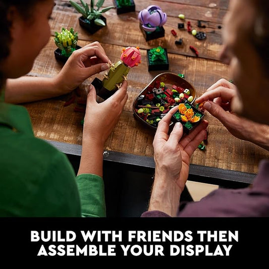 LEGO Botanical | 10309 Succulents