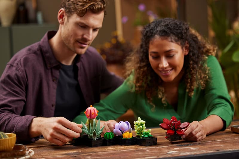 LEGO Botanical | 10309 Succulents