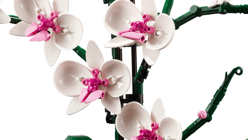 LEGO Botanical | 10311 Orchid