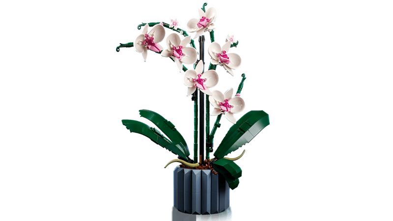 LEGO Botanical | 10311 Orchid