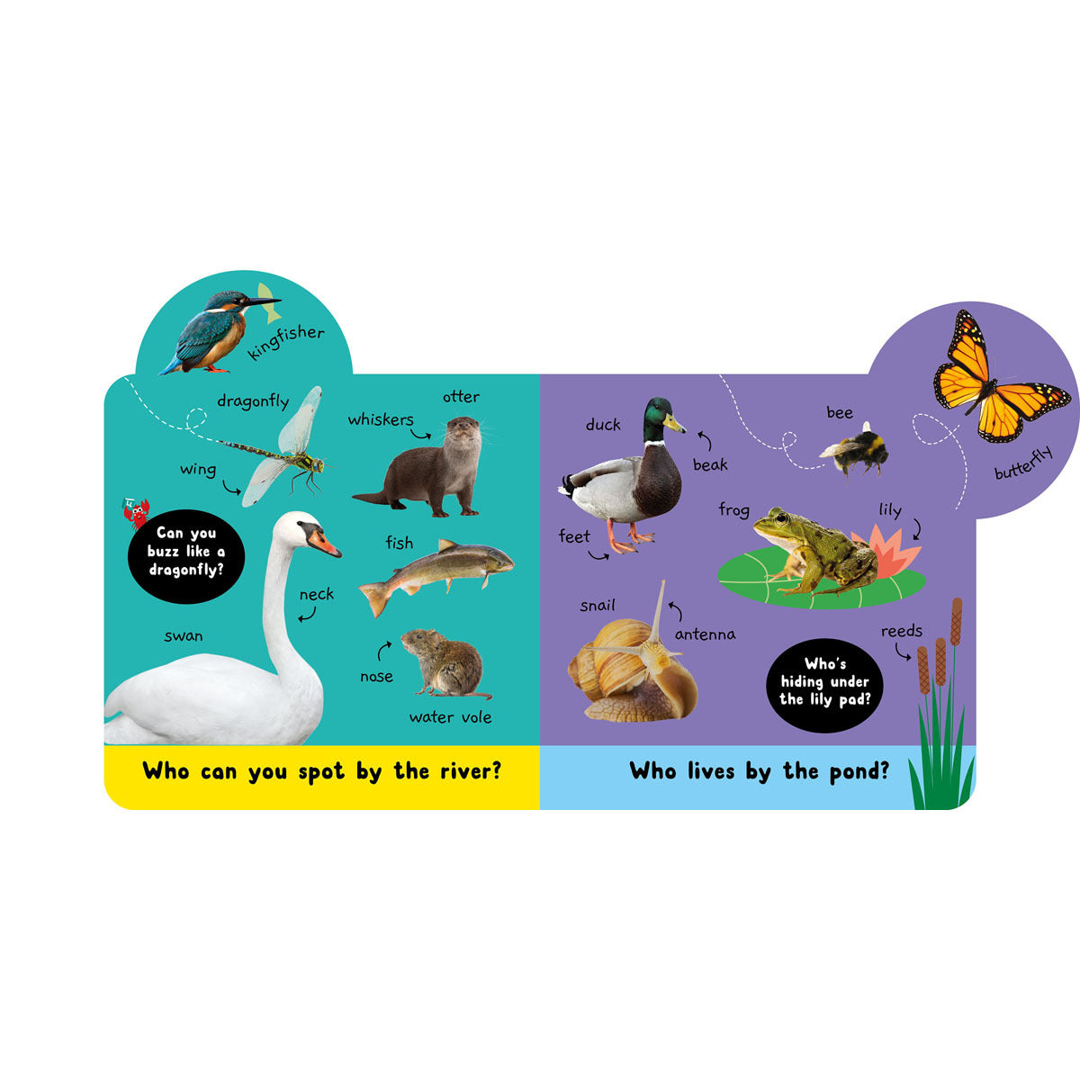 Early Learning Centre - 100 Words Awesome Animals Board Book