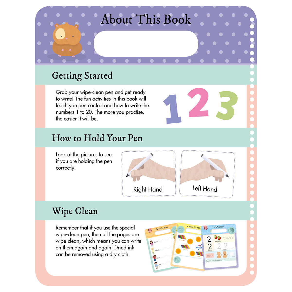 Wipe-Clean Learning - I Can Write 123 Book