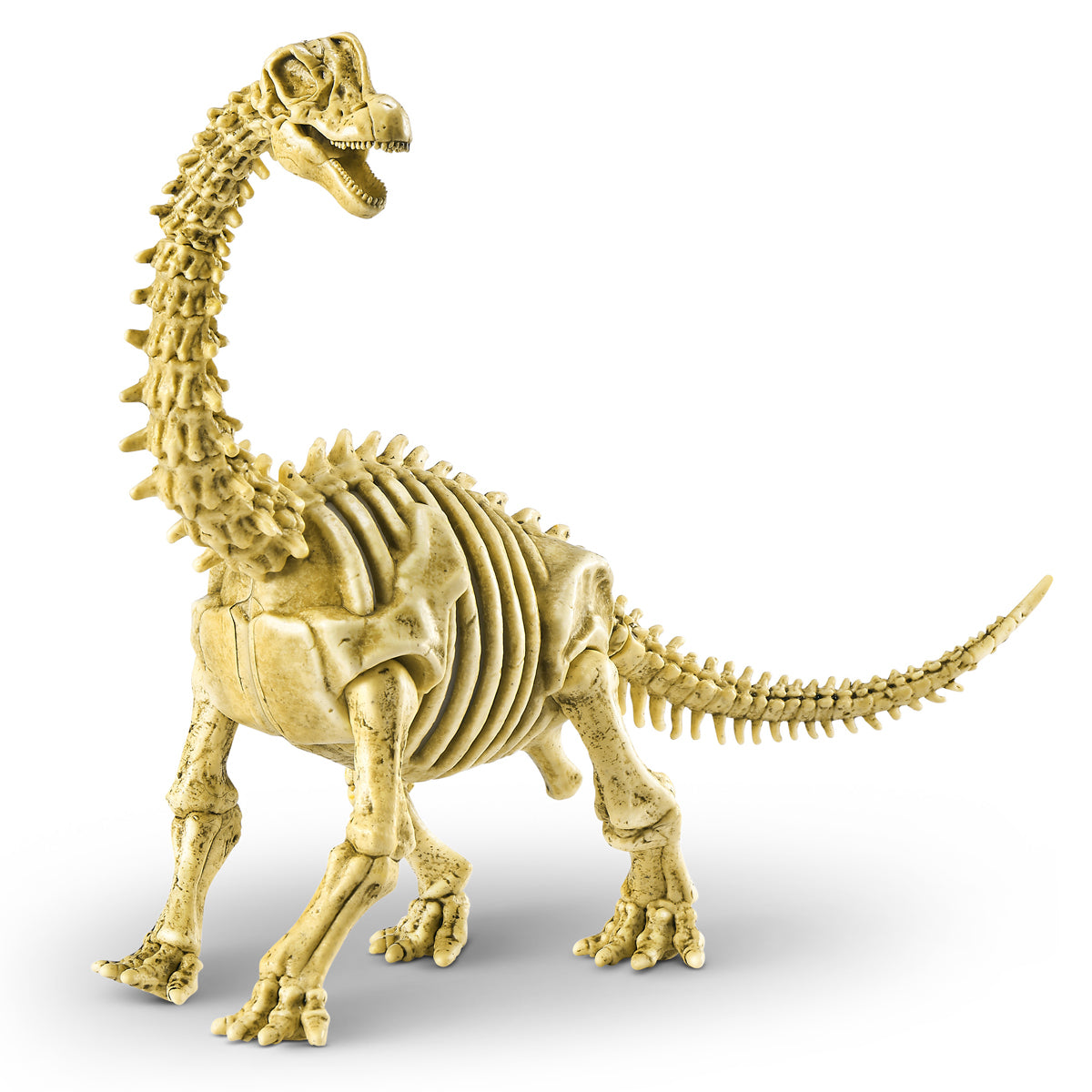 Robo Alive Mega Dino Fossil Find by ZURU (Styles Vary)