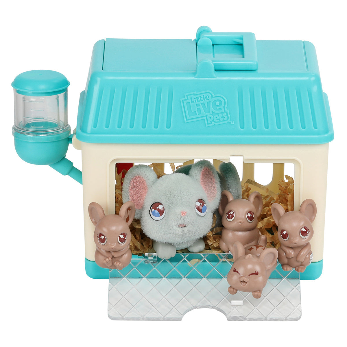 Live pet mouse 2025