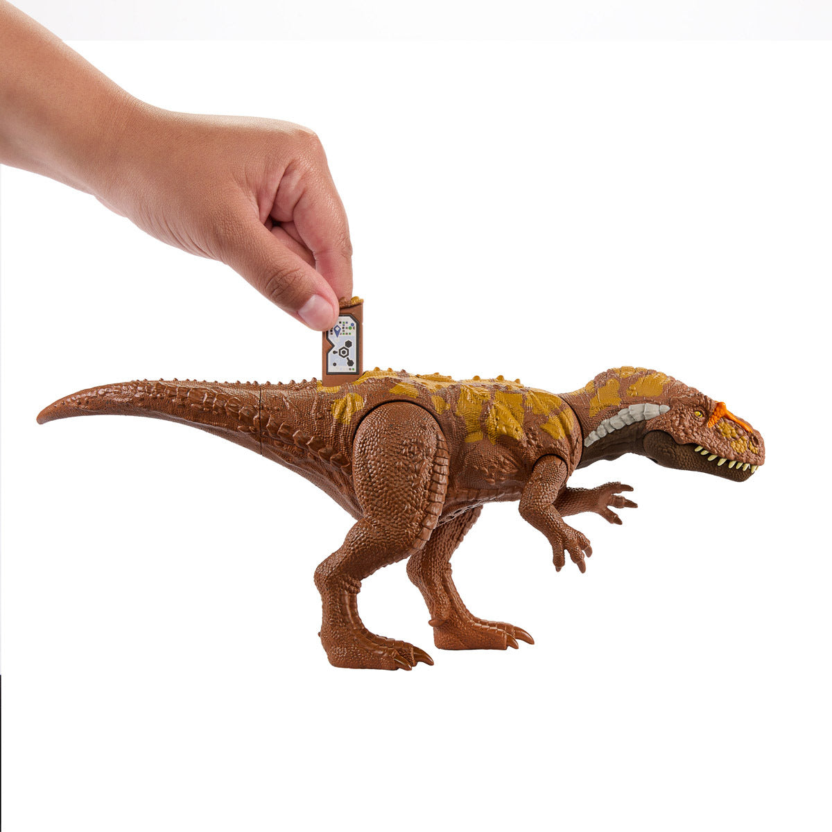 Jurassic World Wild Roar Megalosaurus Dinosaur Figure