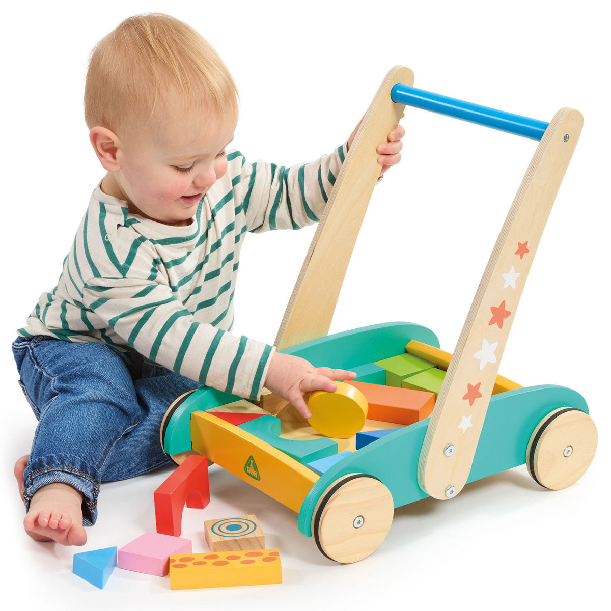 Early Learning Centre Wooden Toddle Truck and Bricks – The