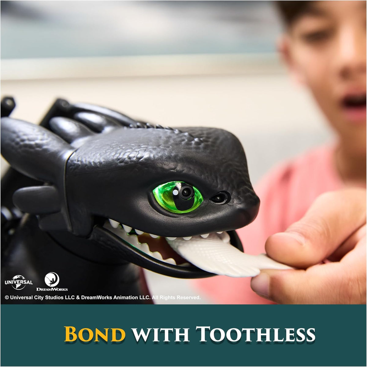 How to Train Your Dragon, Tame & Train Interactive Toothless