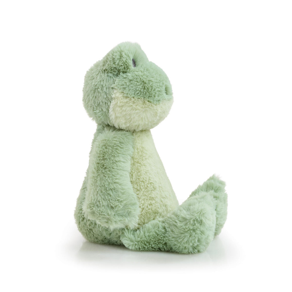 Snuggle Buddies Felix Frog Soft Toy