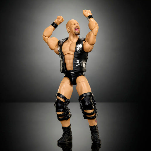 WWE Stone Cold Steve Austin Figure Elite Collection SummerSlam