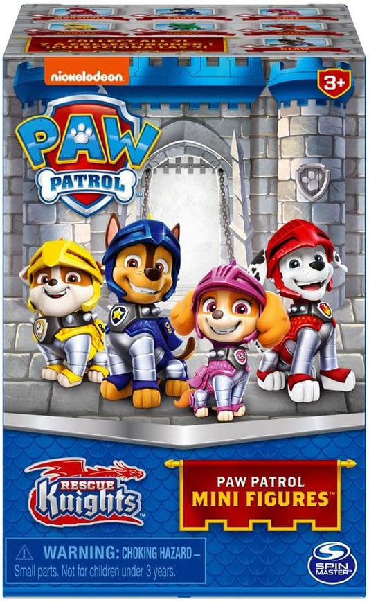 Paw Patrol Rescue Knights Collectible Blind Box (Styles Vary One Supplied)