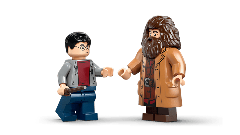 LEGO Harry Potter | 76459 Hagridª & Harry's Privet Drive Escape