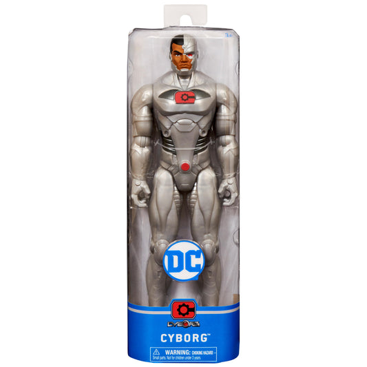 DC 30cm Action Figure (Styles Vary)