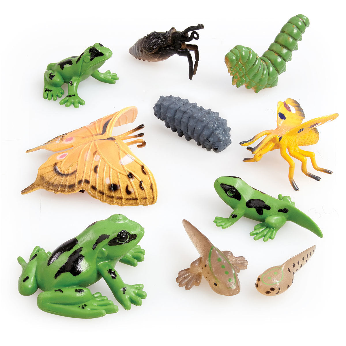 Early Learning Centre Mini Amphibians