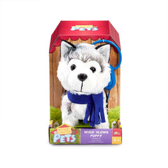 Pitter Patter Pets Walk Along Husky