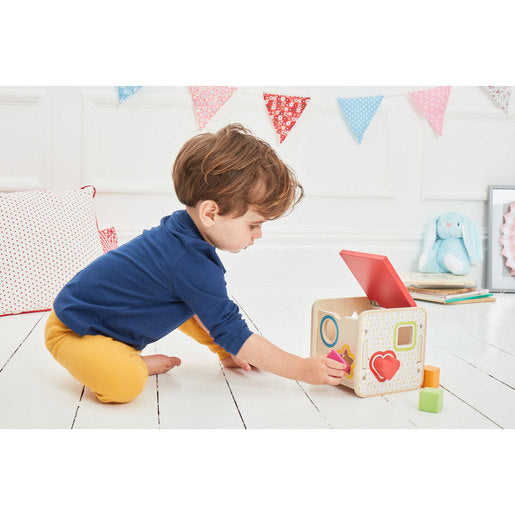 Early Learning Centre Wooden Shape Sorter – The Entertainer Pakistan
