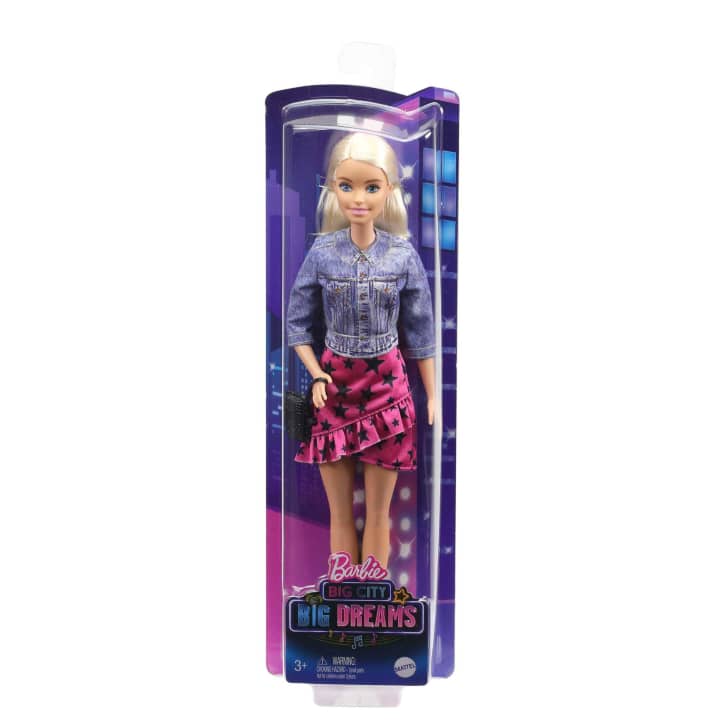 Barbie - Big City Big Dreams Doll And Accessories GXT03